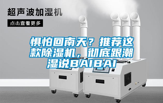 懼怕回南天？推薦這款除濕機，徹底跟潮濕說BAIBAI
