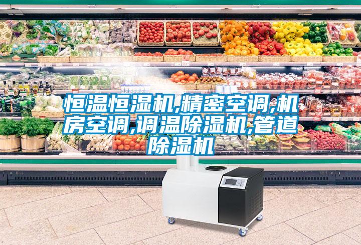 恒溫恒濕機,精密空調,機房空調,調溫除濕機,管道除濕機