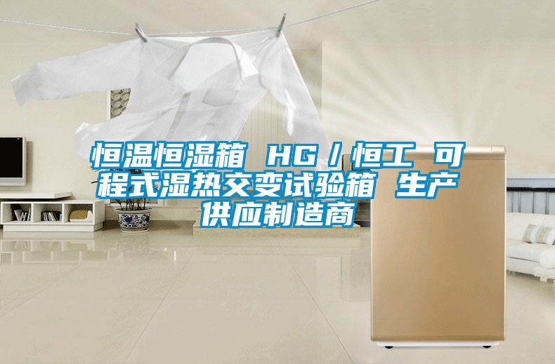 恒溫恒濕箱 HG／恒工 可程式濕熱交變試驗箱 生產供應制造商