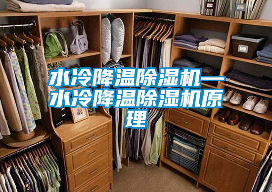 水冷降溫除濕機(jī)—水冷降溫除濕機(jī)原理