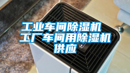 工業車間除濕機 工廠車間用除濕機供應