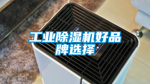 工業除濕機好品牌選擇
