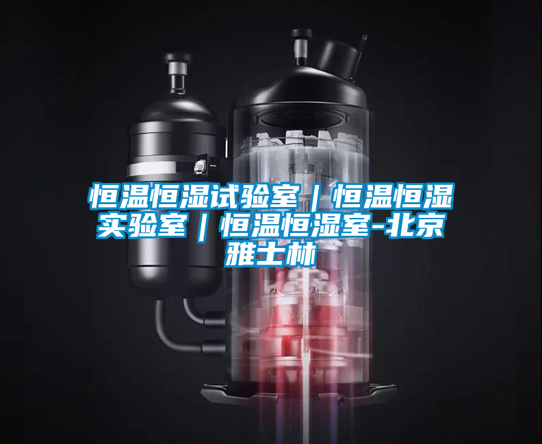 恒溫恒濕試驗室｜恒溫恒濕實驗室｜恒溫恒濕室-北京雅士林