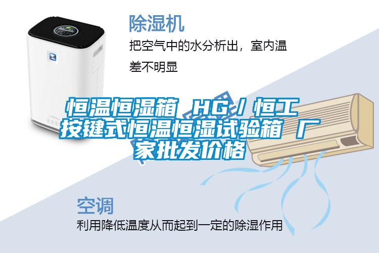恒溫恒濕箱 HG／恒工 按鍵式恒溫恒濕試驗箱 廠家批發價格