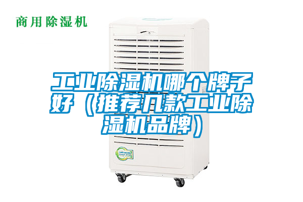 工業除濕機哪個牌子好（推薦幾款工業除濕機品牌）
