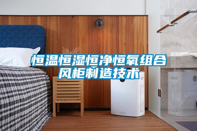 恒溫恒濕恒凈恒氧組合風柜制造技術