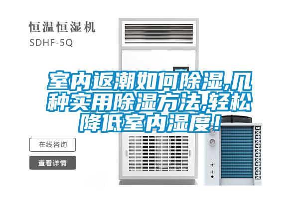 室內返潮如何除濕,幾種實用除濕方法,輕松降低室內濕度！