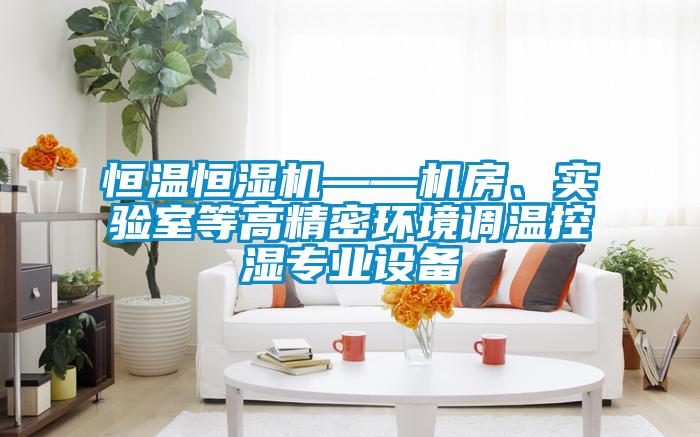 恒溫恒濕機(jī)——機(jī)房、實驗室等高精密環(huán)境調(diào)溫控濕專業(yè)設(shè)備
