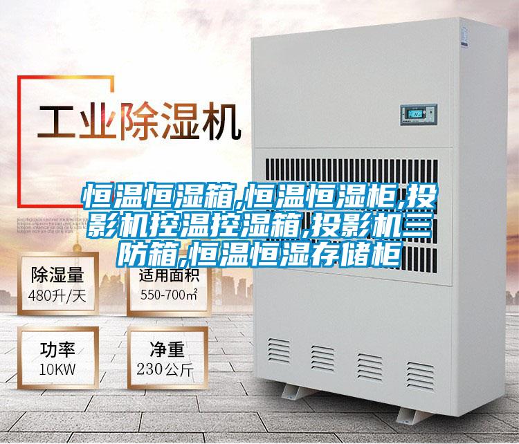 恒溫恒濕箱,恒溫恒濕柜,投影機(jī)控溫控濕箱,投影機(jī)三防箱,恒溫恒濕存儲(chǔ)柜