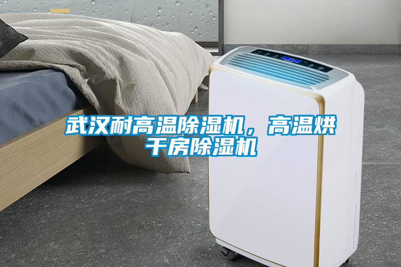 武漢耐高溫除濕機，高溫烘干房除濕機