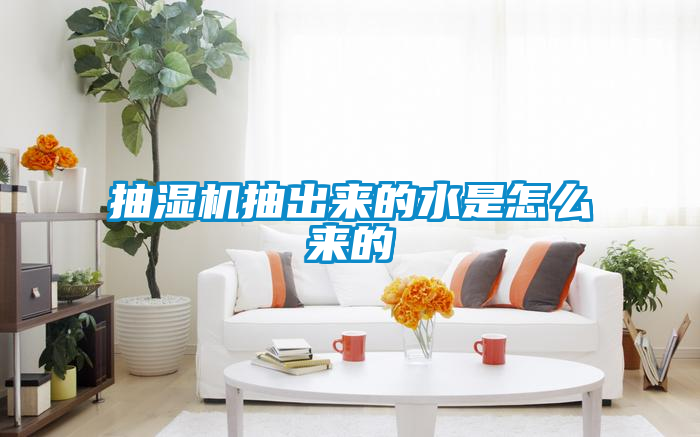 抽濕機抽出來的水是怎么來的