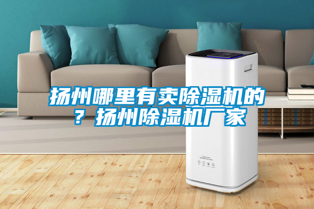 揚州哪里有賣除濕機的？揚州除濕機廠家