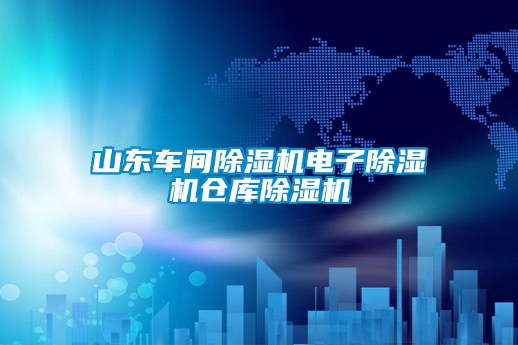 山東車間除濕機電子除濕機倉庫除濕機