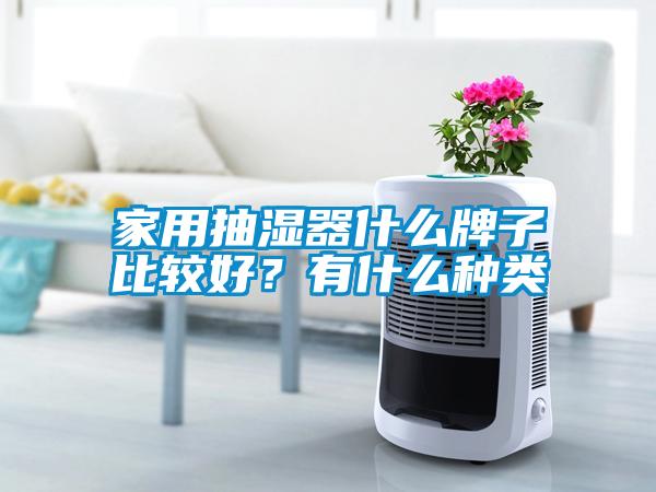 家用抽濕器什么牌子比較好？有什么種類(lèi)