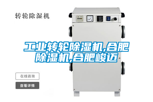 工業(yè)轉輪除濕機,合肥除濕機,合肥峻邁