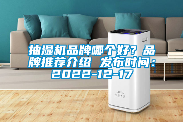 抽濕機(jī)品牌哪個(gè)好？品牌推薦介紹 發(fā)布時(shí)間：2022-12-17