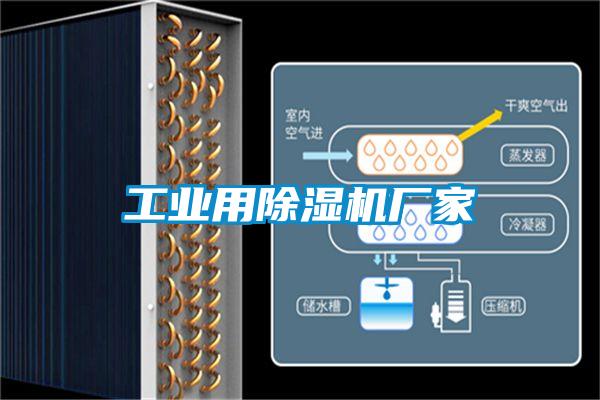 工業(yè)用除濕機廠家