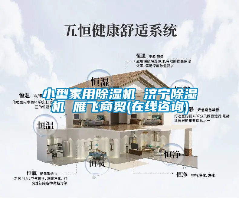 小型家用除濕機 濟寧除濕機 雁飛商貿(mào)(在線咨詢)
