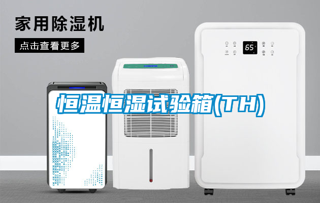 恒溫恒濕試驗(yàn)箱(TH)