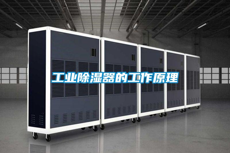 工業除濕器的工作原理