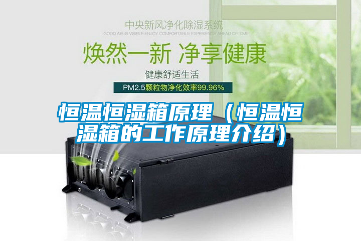 恒溫恒濕箱原理（恒溫恒濕箱的工作原理介紹）