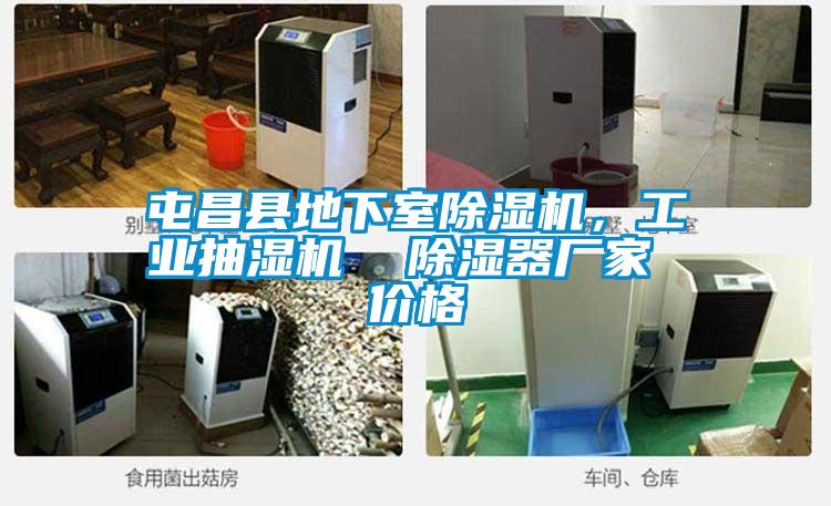 屯昌縣地下室除濕機(jī)，工業(yè)抽濕機(jī)  除濕器廠家 價(jià)格
