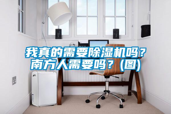 我真的需要除濕機嗎？南方人需要嗎？(圖)
