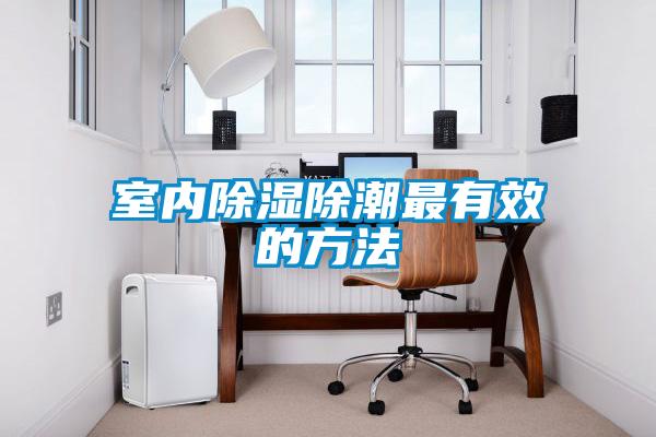室內除濕除潮最有效的方法