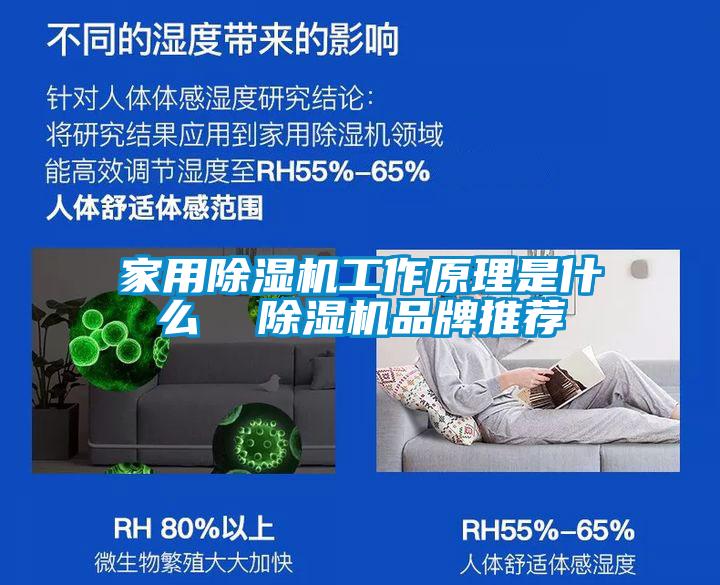家用除濕機工作原理是什么  除濕機品牌推薦