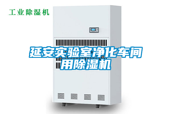 延安實驗室凈化車間用除濕機