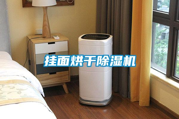 掛面烘干除濕機