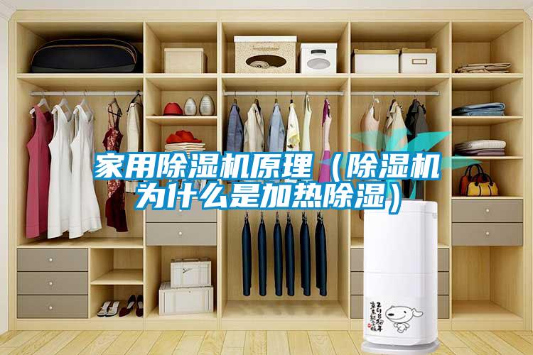 家用除濕機原理（除濕機為什么是加熱除濕）