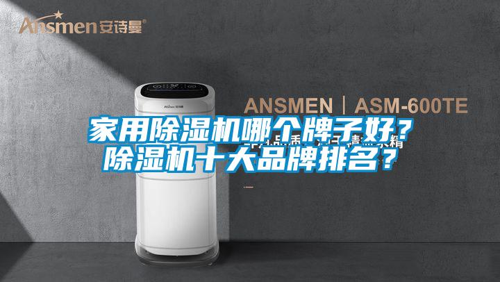 家用除濕機哪個牌子好？除濕機十大品牌排名？