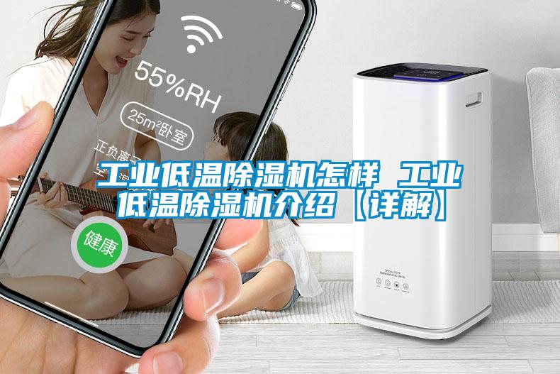 工業低溫除濕機怎樣 工業低溫除濕機介紹【詳解】