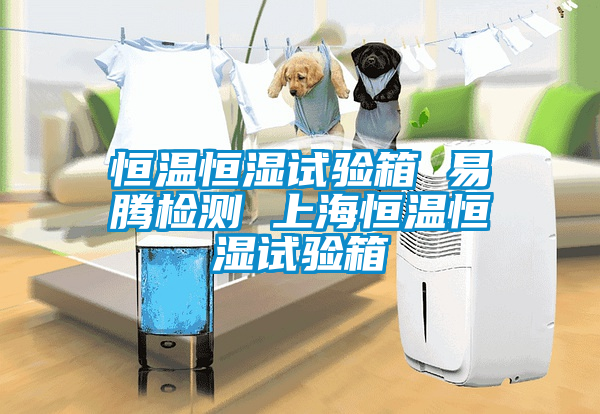恒溫恒濕試驗箱 易騰檢測 上海恒溫恒濕試驗箱
