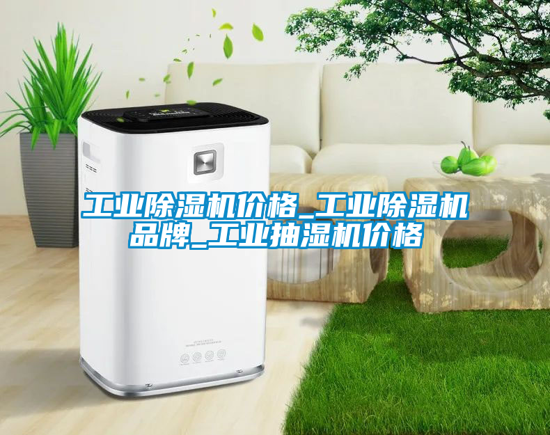 工業除濕機價格_工業除濕機品牌_工業抽濕機價格