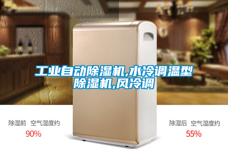工業自動除濕機,水冷調溫型除濕機,風冷調
