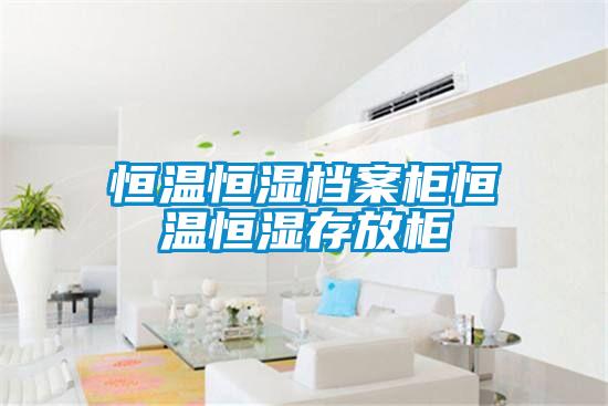 恒溫恒濕檔案柜恒溫恒濕存放柜