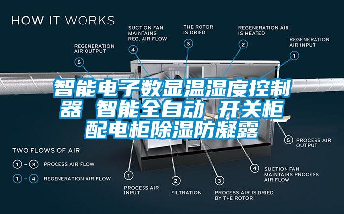 智能電子數顯溫濕度控制器 智能全自動 開關柜配電柜除濕防凝露