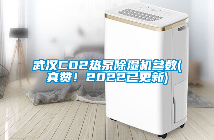 武漢CO2熱泵除濕機(jī)參數(shù)(真贊！2022已更新)