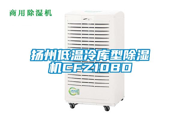 揚州低溫冷庫型除濕機CFZ10BD