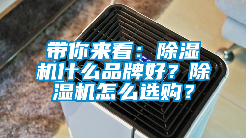 帶你來看：除濕機什么品牌好？除濕機怎么選購？