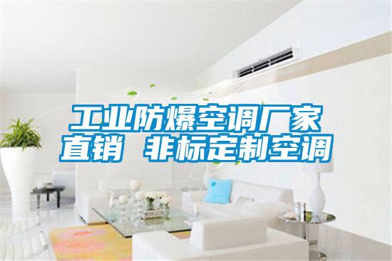 工業(yè)防爆空調(diào)廠家直銷 非標(biāo)定制空調(diào)