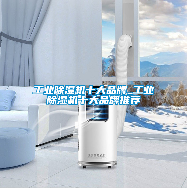 工業(yè)除濕機(jī)十大品牌_工業(yè)除濕機(jī)十大品牌推薦