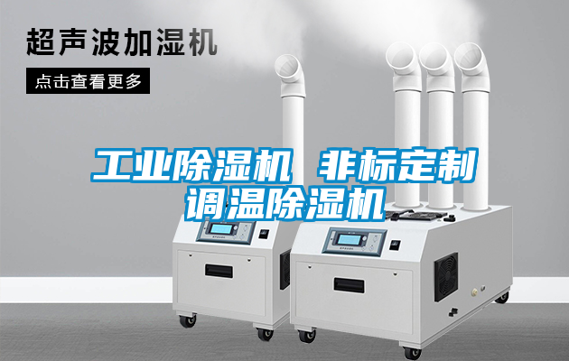 工業除濕機 非標定制調溫除濕機