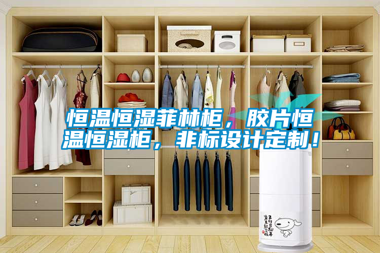 恒溫恒濕菲林柜，膠片恒溫恒濕柜，非標設計定制！