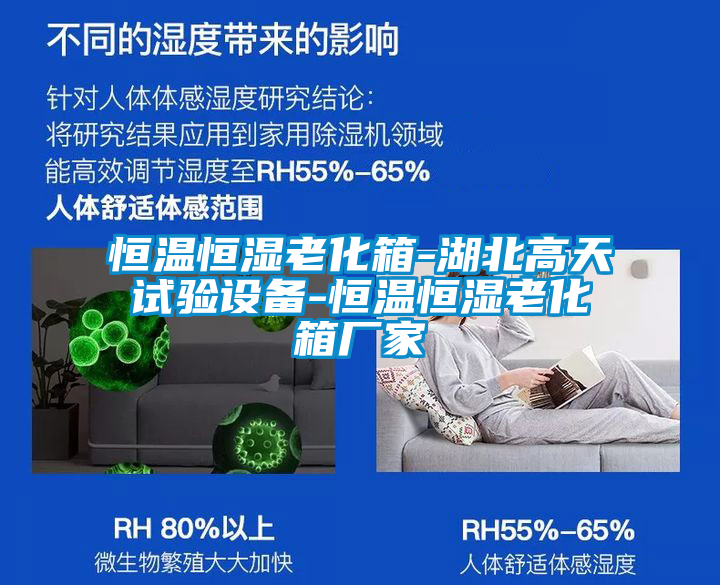 恒溫恒濕老化箱-湖北高天試驗設備-恒溫恒濕老化箱廠家