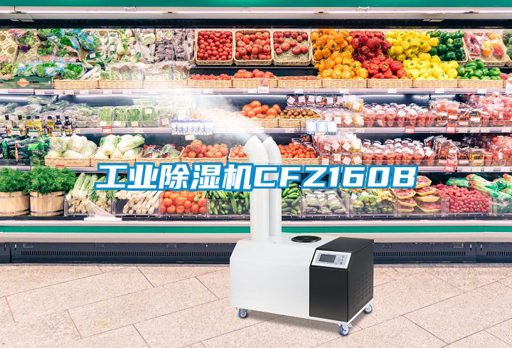 工業除濕機CFZ160B