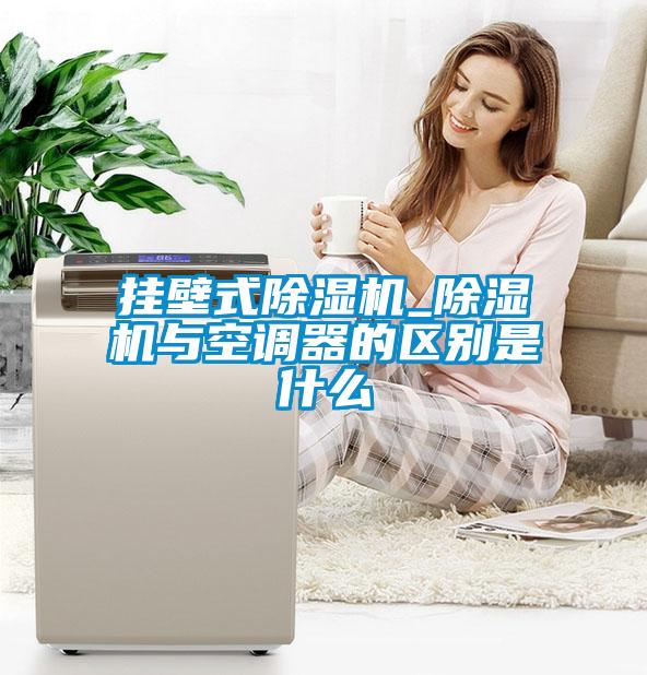 掛壁式除濕機_除濕機與空調器的區別是什么