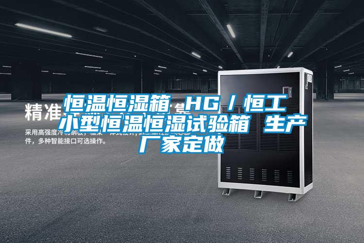 恒溫恒濕箱 HG／恒工 小型恒溫恒濕試驗箱 生產廠家定做